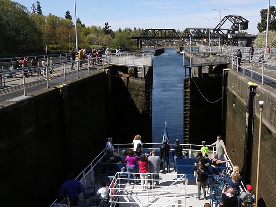 Visit the Ballard Locks Seattle