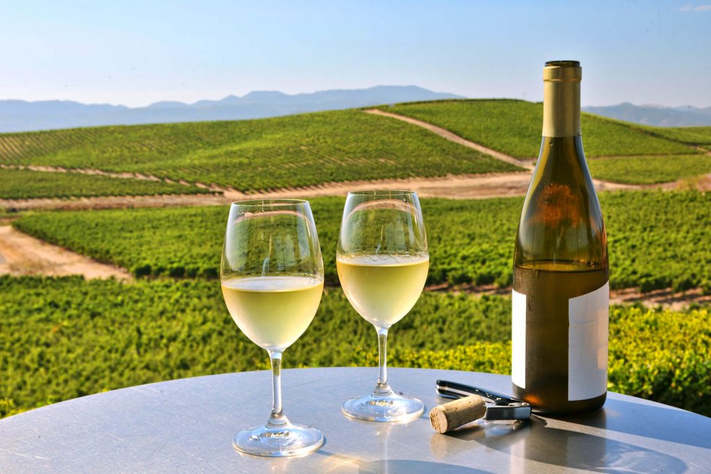 Visit vineyards in Napa summer bucket list