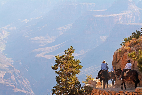 horse riding Grand Canyon National Park, Arizona Summer Bucket List