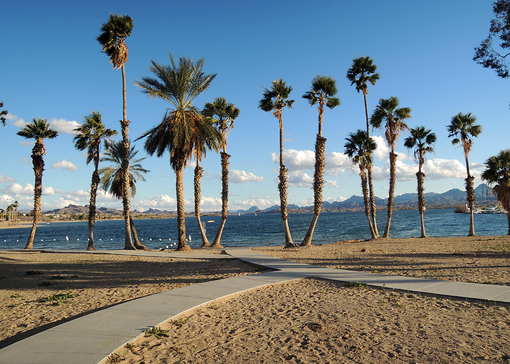 Arizona Beaches: London Bridge Arizona Beach