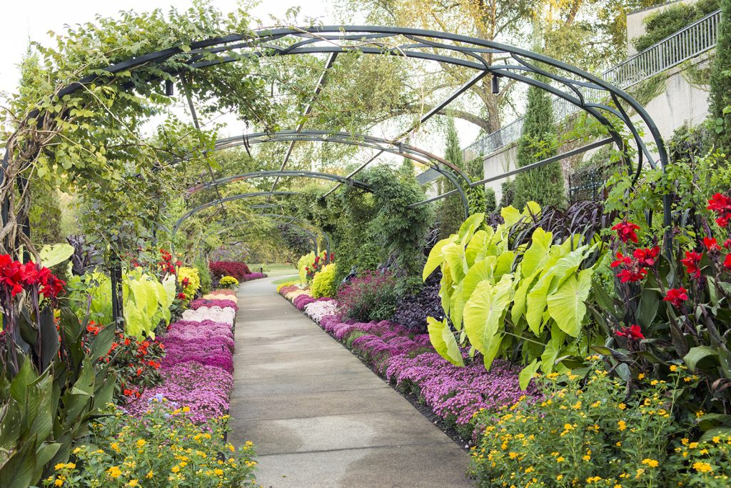 Cheekwood Botanical Gardens Things to do in Nashville