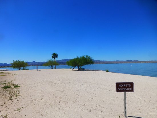 Lake Havasu State Park Beach in Arizona