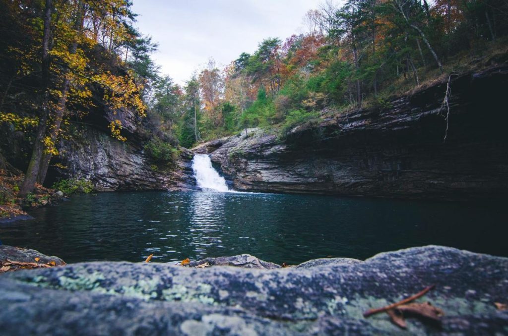 Things to do in Chattanooga Visit Lula Lake Land Trust