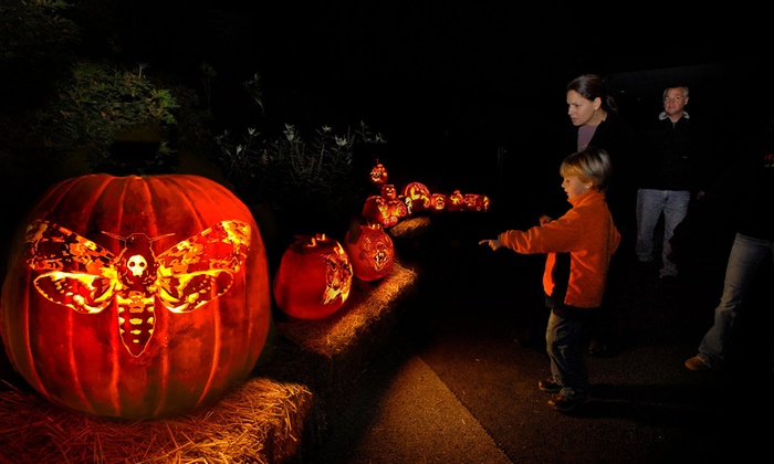 Night of 1000 Jack-o-Lanterns in Chicago Best Halloween Events