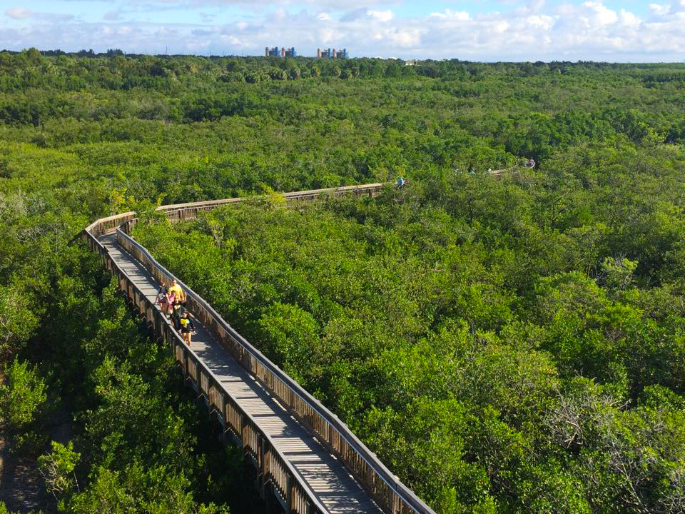 Visit Weedon Island Preserve in Tampa Florida