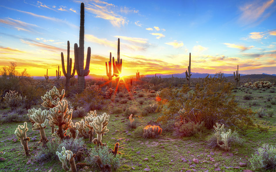 50 Best Things to Do in Scottsdale, Arizona