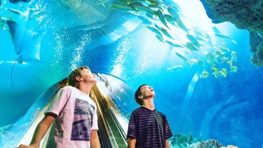 OdySea Aquarium Scottsdale AZ