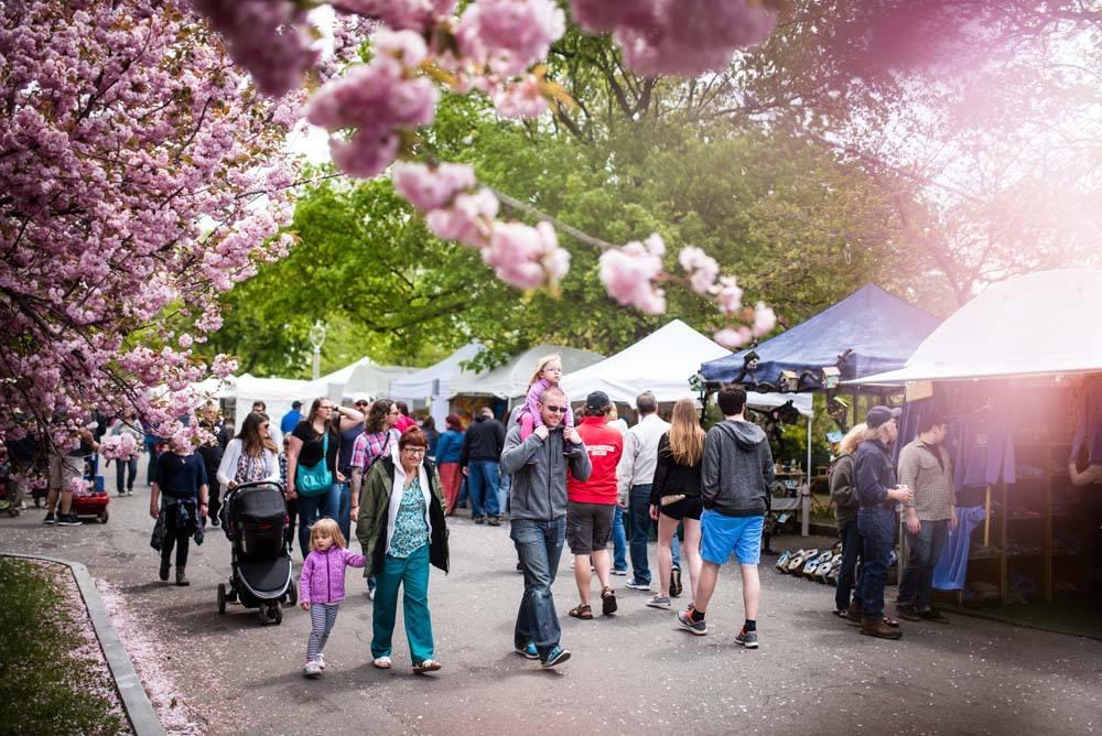 Things to do in Rochester NY Rochester Lilac Festival