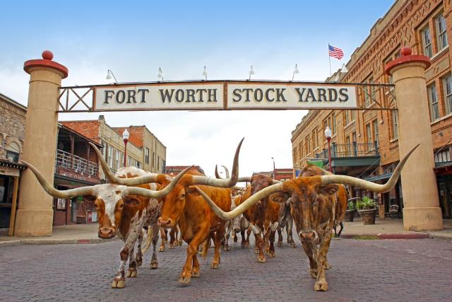 40 Best Things to Do in Fort Worth in Texas, USA