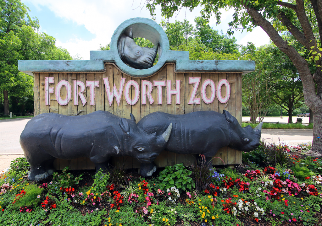 Things to Do in Fort Worth Fort Worth Zoo