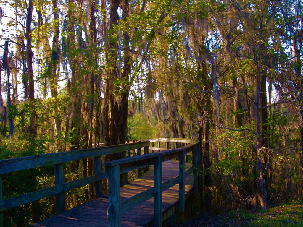 Phinizy Swamp Nature Park Augusta GA