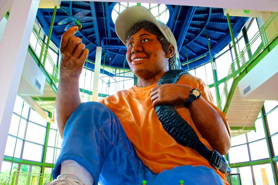 Things to do in Columbia SC with kids EdVenture Children's Museum