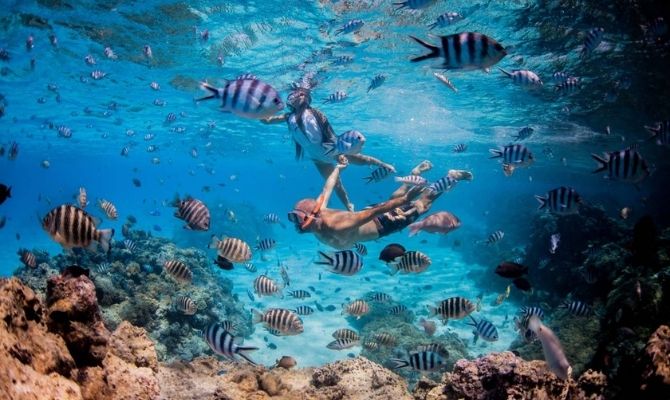 Bora Bora Dream Pictures and Lagoon Tours