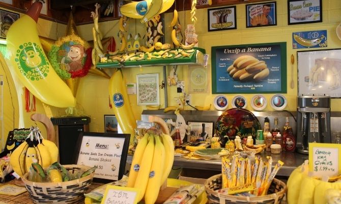 International Banana Museum California