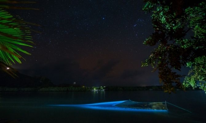 Bioluminescent Beaches in the Maldives