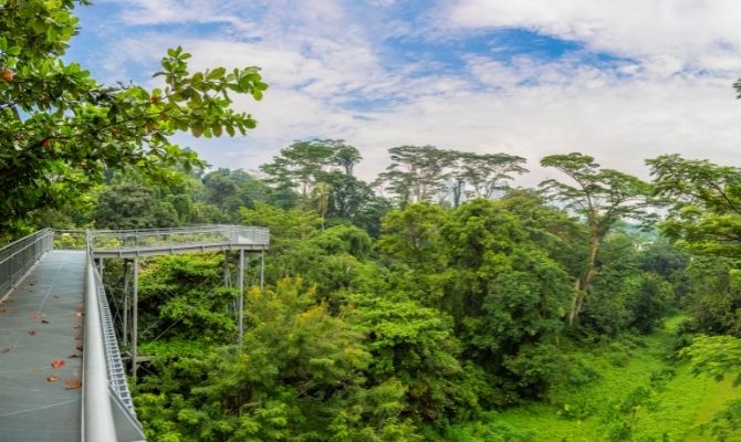 Southern Ridges Walking Trail Singapore