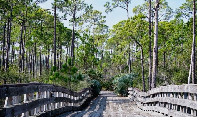 Things to do in Destin Florida Jolee Island Nature Park