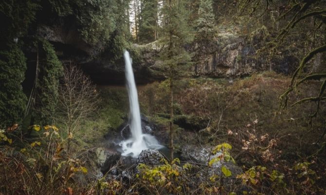 Waterfalls in Oregon North Falls, Silver Falls State Park