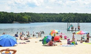 Best and Fun Beaches in Virginia, United States - Traveladvo