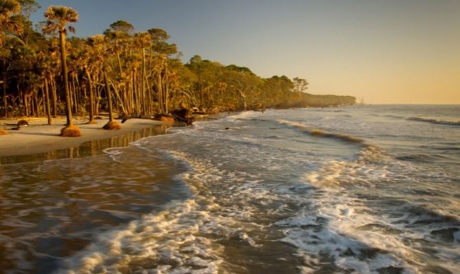 Hunting Island State Park, Beaufort