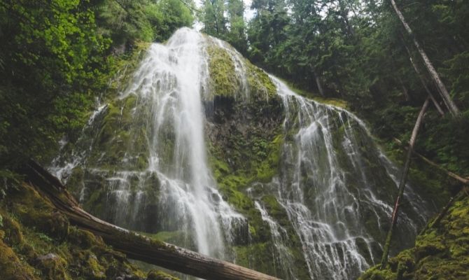 Waterfalls in Oregon Lower Proxy Falls