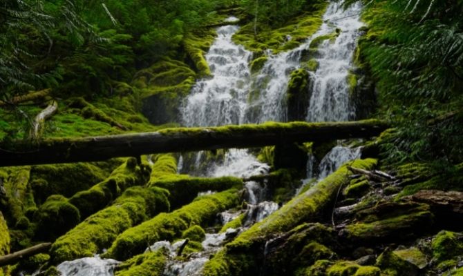 Waterfalls in Oregon Upper Proxy Falls