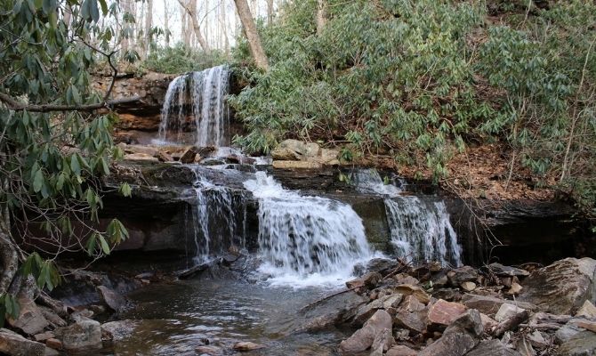 Cole Run Falls, Forbes State Forest