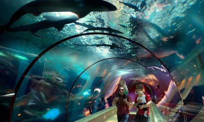 Oregon Coast Aquarium, Newport OR