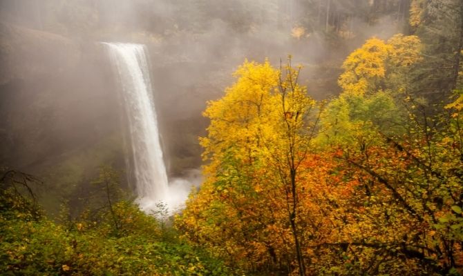 Silver Falls State Park, Sublimity OR