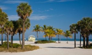 Best and Fun Beaches in Florida, United States - Traveladvo