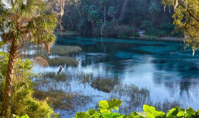 Camping in Florida Rainbow Springs State Park