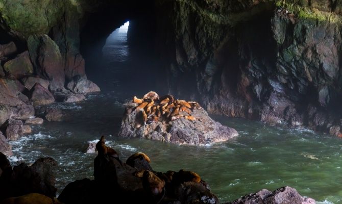 Sea Lion Caves, Florence OR
