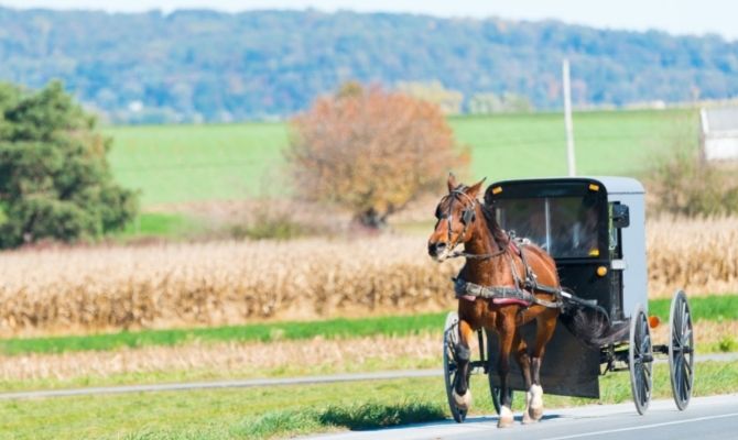 Things to Do in Ohio Amish Country