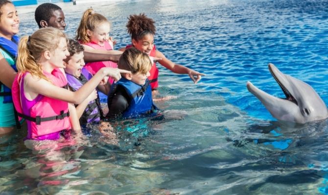Things to do in Florida Discovery Cove, Orlando