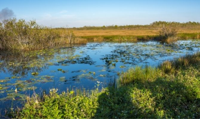 Things to do in Florida Everglades National Park
