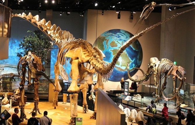Perot Museum of Nature and Science Texas