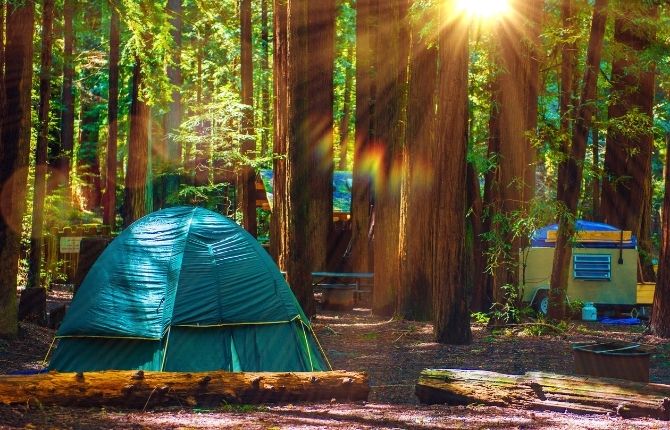 Burlington Campground, Humboldt Redwoods State Park