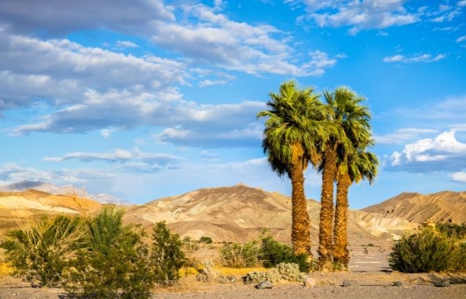 camping in California Furnace Creek, Death Valley National Park