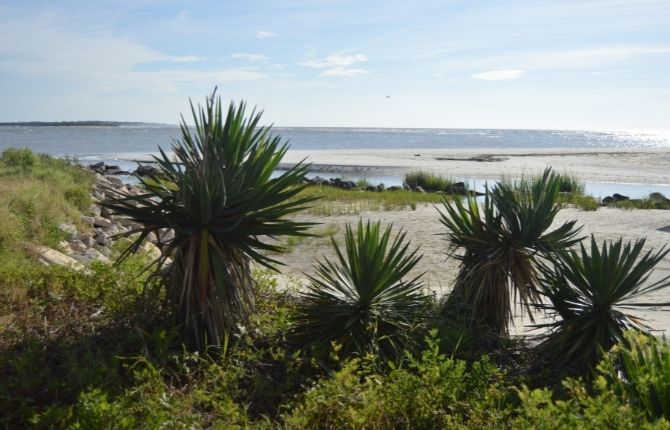 Gould’s Inlet, St. Simons Island