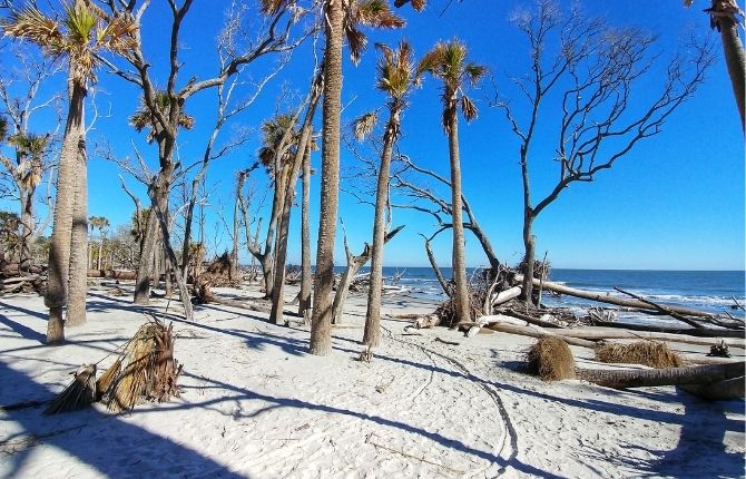 Hunting Island State Park, Beaufort County