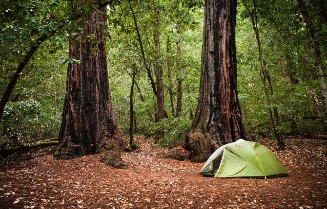 Jedediah Smith Redwoods State Park Campground, Redwoods National and State Parks