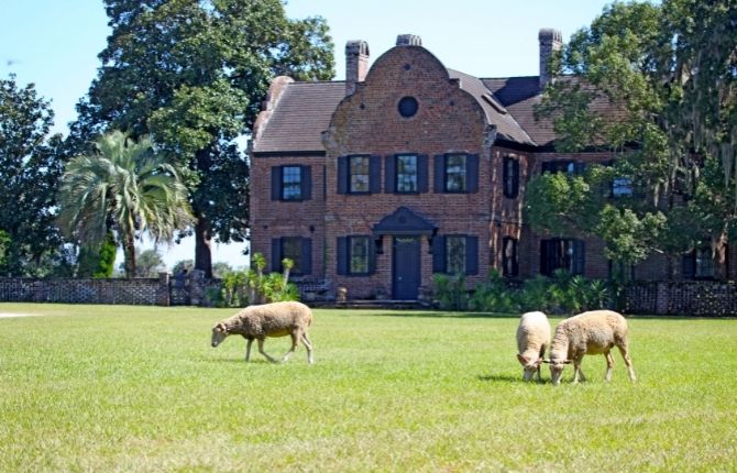 Middleton Place — Charleston Best Things to Do in South Carolina