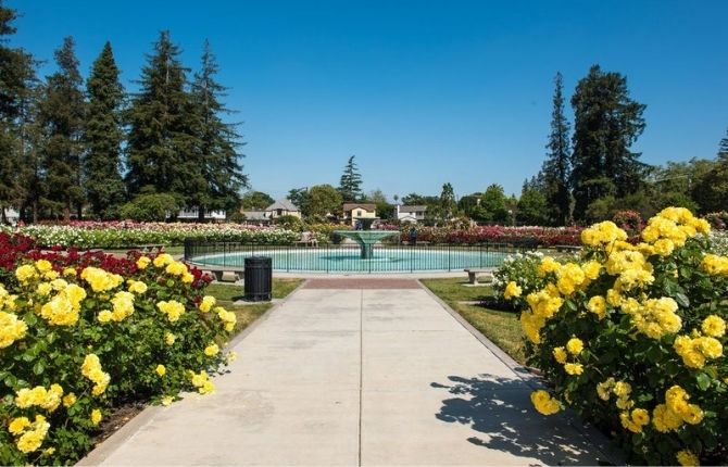 Municipal Rose Garden San Jose