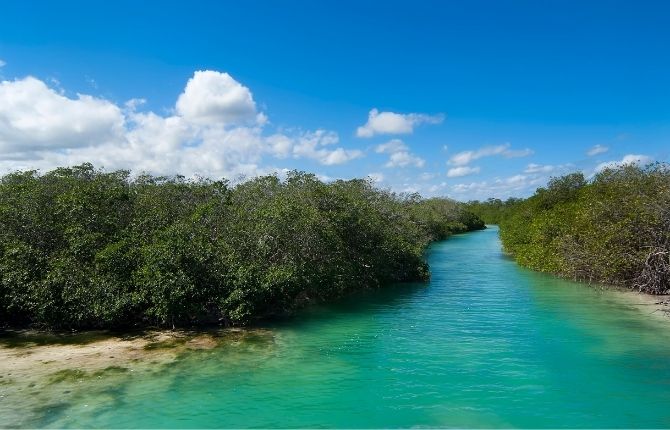 Things to Do in Tulum Sian Ka’an Biosphere Reserve