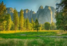 Where is Yosemite National Park
