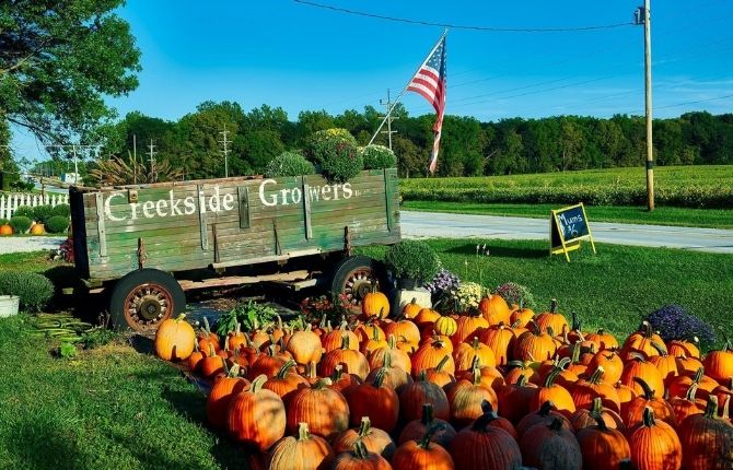 Farmlands of Indiana