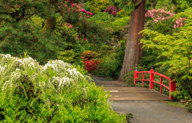 Kubota Garden Seattle