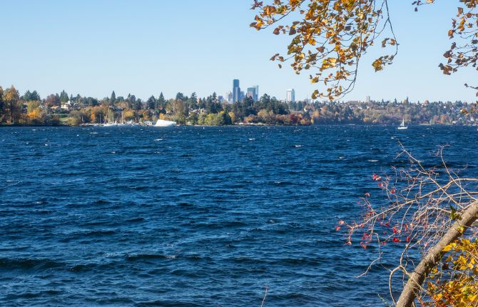 Seward Park Seattle