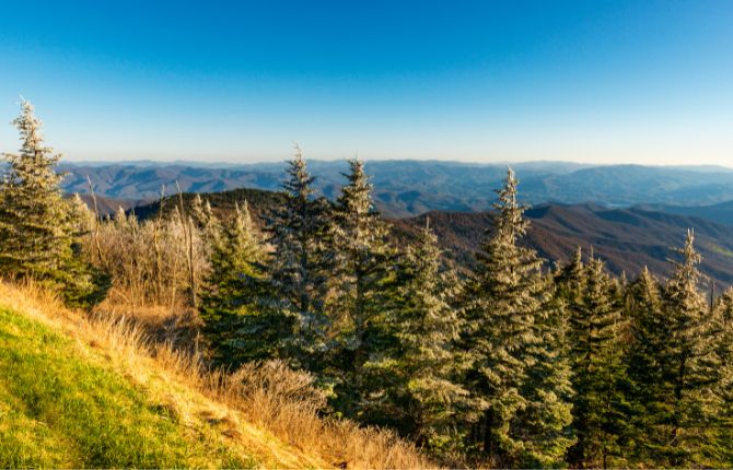 Best Time to Go to Clingmans Dome