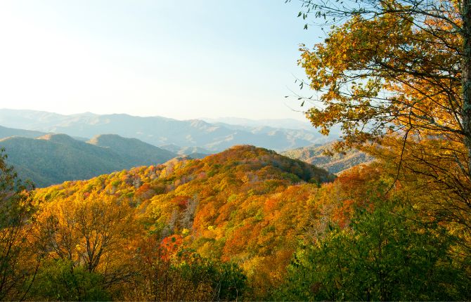Best Time to Visit Smoky Mountains for Fall Color